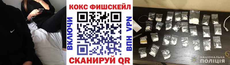 где можно купить   Апшеронск  Cocaine VHQ 